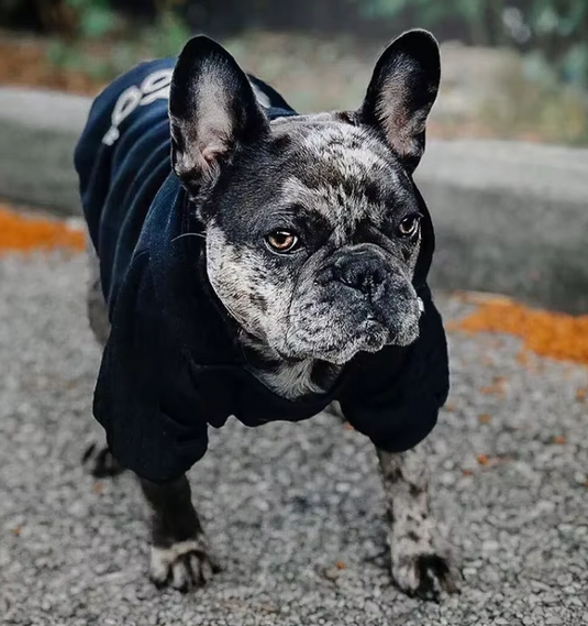 The Dog Face - Soft & Cozy Dog Hoodie 