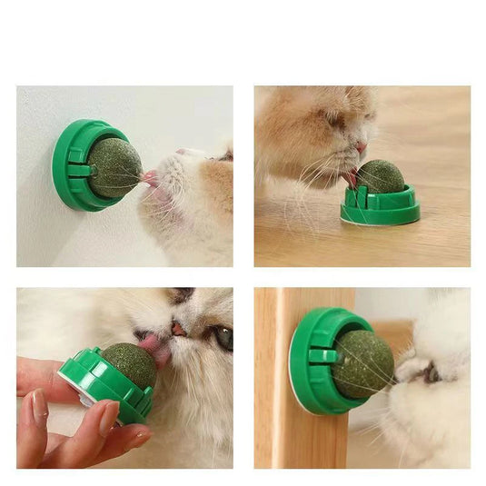 The Catnip Cat Wall Stick-On Ball Toy Scratchers Treats Healthy Natural Removes Balls to Promote Digestion Cat Grass Snack